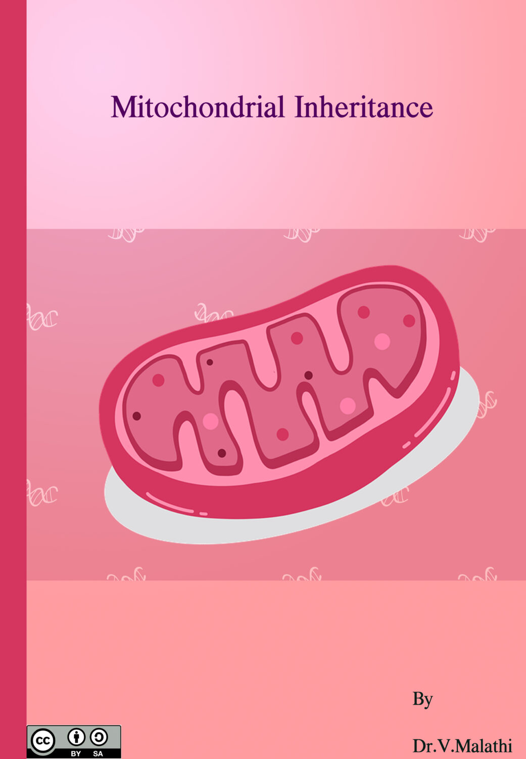 Cover image for Mitochondrial Inheritance