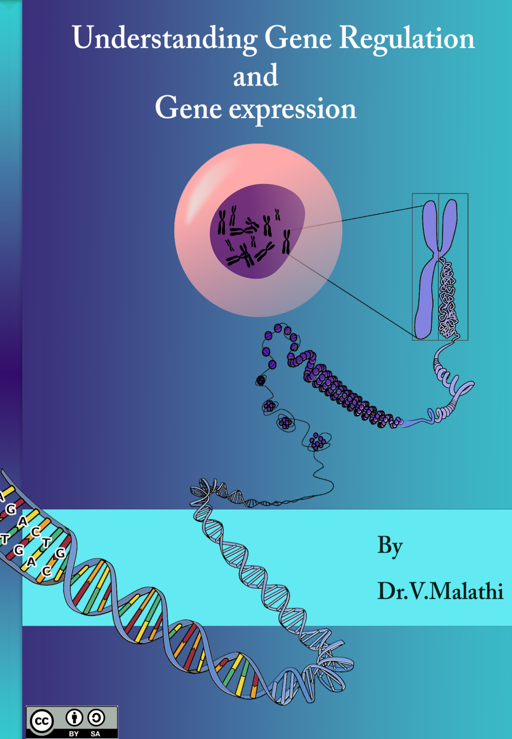 Cover image for Understanding Gene Regulation and Gene expression